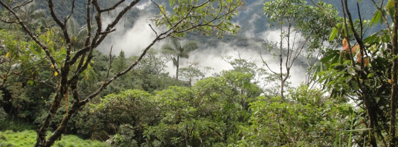 prehistoric-jungle-tribes-may-have-practiced-land-management-of-tropical-forests-in-se-asia-70-000-years-ago