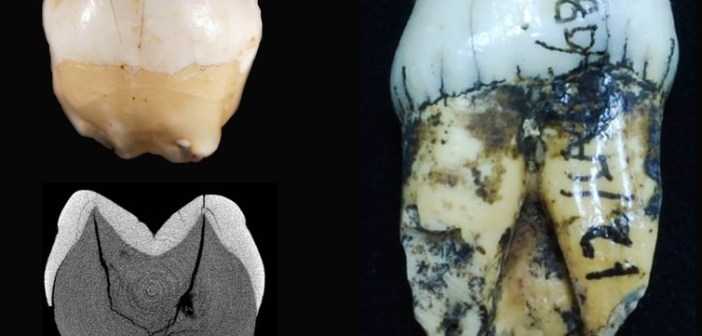 new-dating-of-lida-ajer-cave-fossils-places-modern-humans-in-southeast-asia-73-000-years-ago