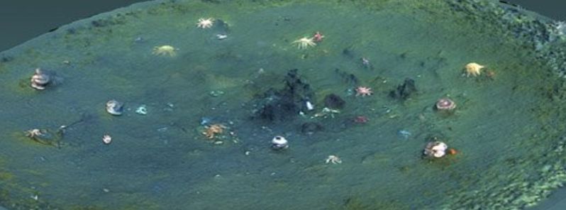 over-15-000-mysterious-huge-seafloor-holes-found-off-california-coast