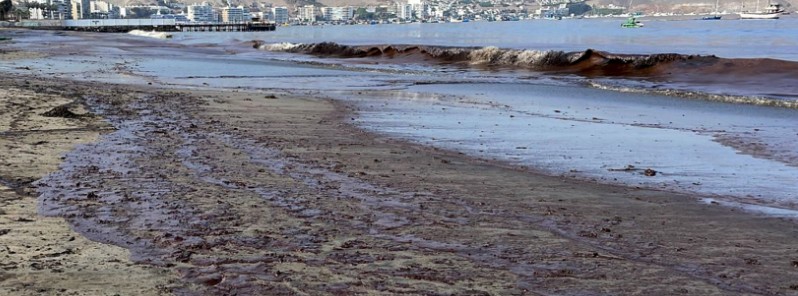 ecological-disaster-peru-tsunami-oil-spill-january-2022