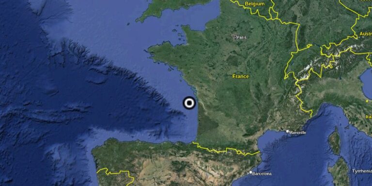 Record number of dolphin strandings reported along France’s Atlantic coast