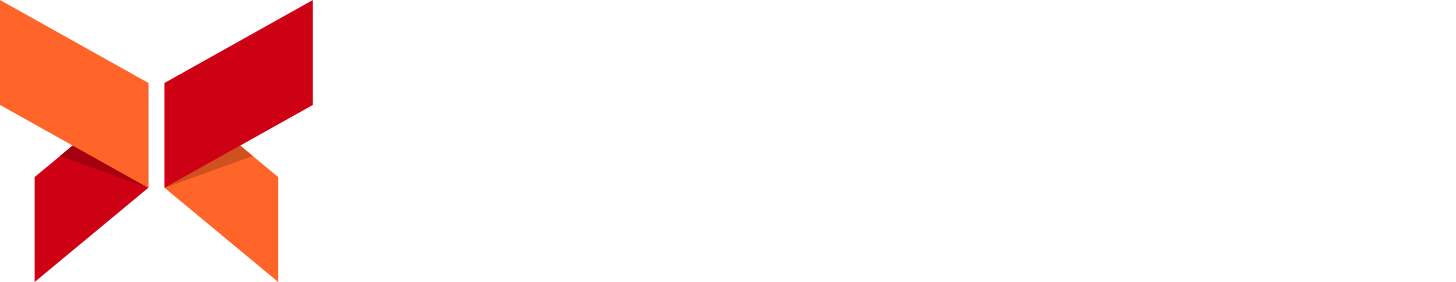 The Watchers