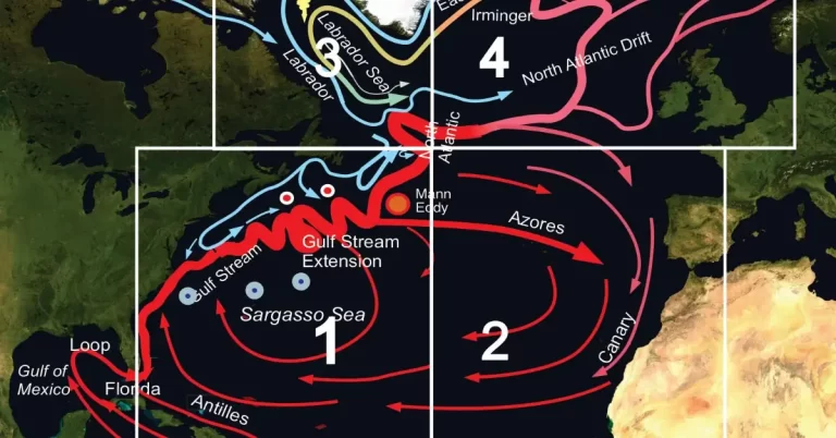 a scheme of the upper-layer circulation of the North Atlantic Ocean f