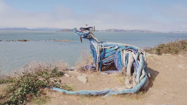 albany bulb bay area california