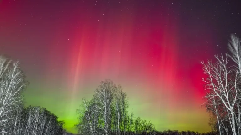 aurora as seen from Oktyabrskoye, Omsk region, Russia by Timur Lartsev on January 1, 2025 f
