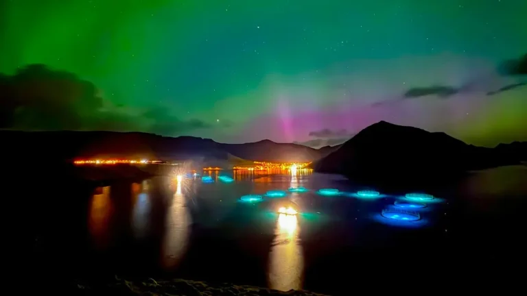 aurora borealis and STEVE by Kristian Eli Eli Zachariasen on April 15, 2025 at Faroe Islands
