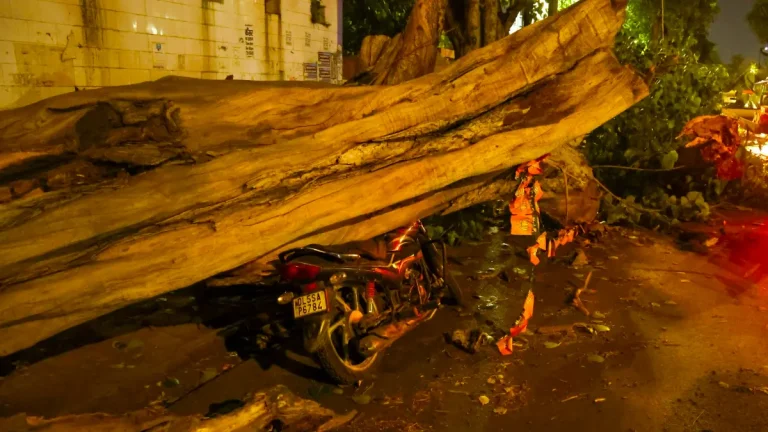 Bike crushed by a collapsed tree in Delhi after dust storms on April 11, 2025