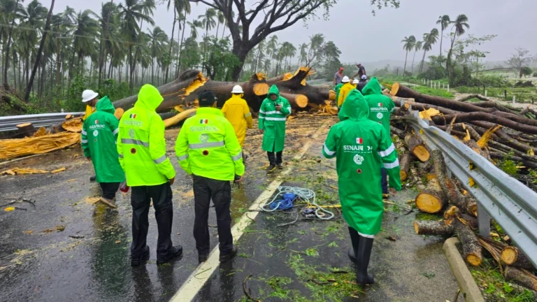 Civil operatives clearing out trees downed by Hurricane Erick in Mexico on June 19, 2025