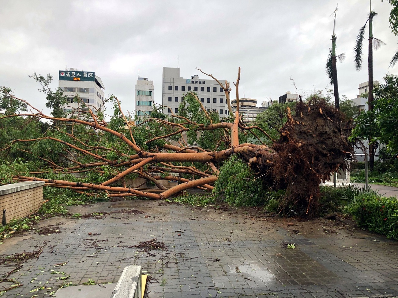 Damage caused by Typhoon Danas landfall in Taiwan on July 6, 2025. Credit: CNA Taiwan