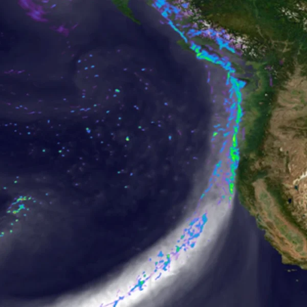 Snapshot of the simulated landfall of an atmospheric river along the west coast of North America on February 11, 2020. Credit: DOE Office of Science, Energy Exascale Earth System Model (E3SM) project.