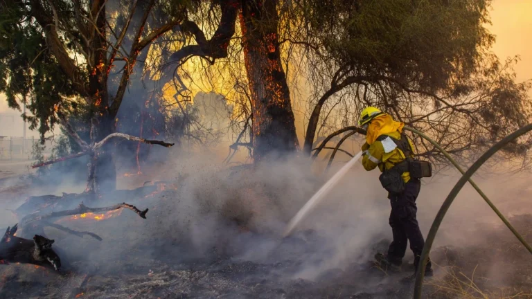 Firefighter engaging a blaze in California