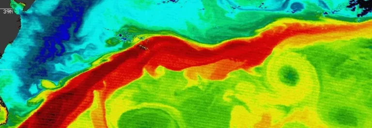 gulf stream temperature 2000