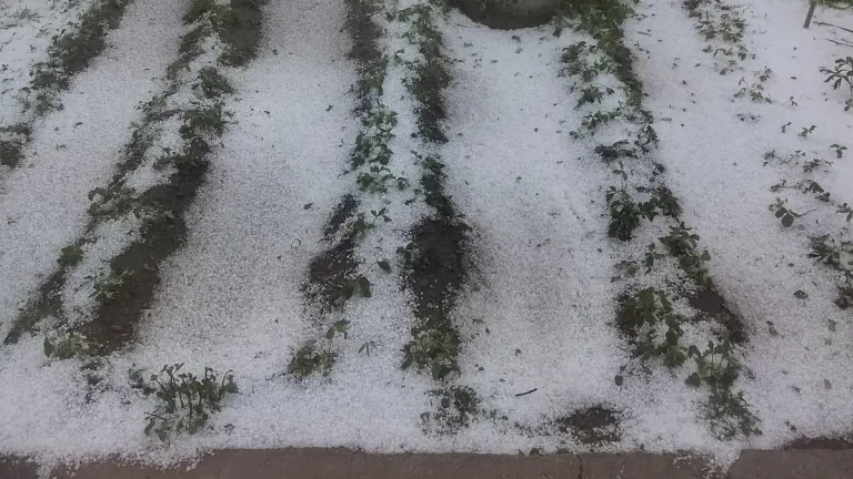 hailstorm romania april 26 2025
