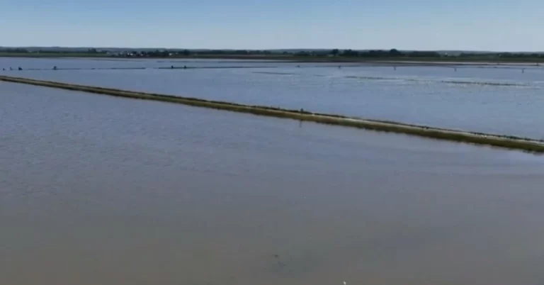 Historic floods in the Midwest cause severe damage to the farmlands