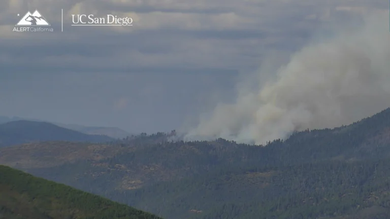 Horse Fire California July 3 2025