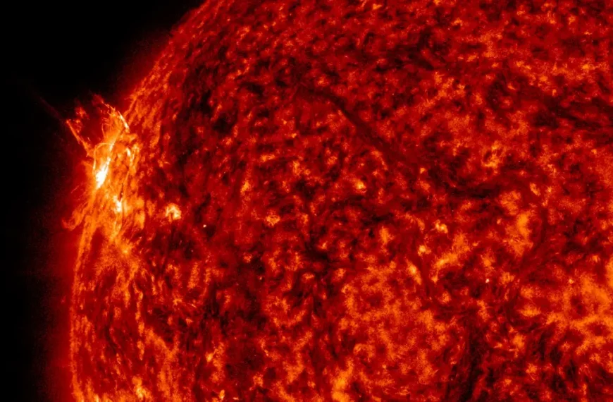 一分钟赛车官方开奖查询结果 from the northeast limb