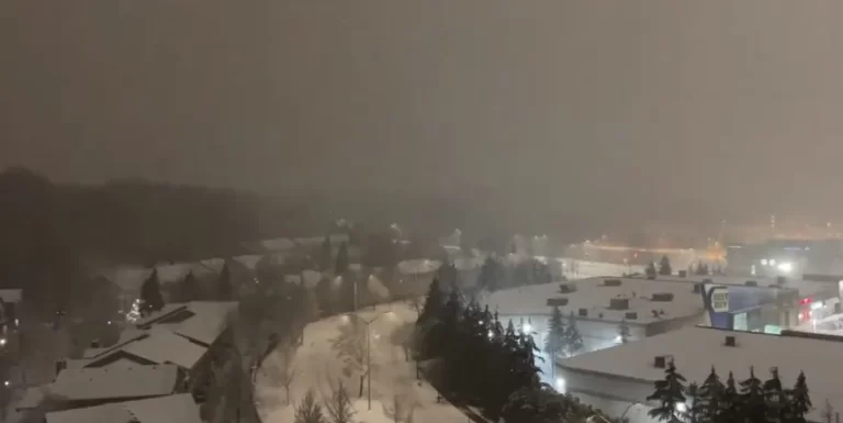 Major winter storm hits southern Ontario, causes blizzard conditions and power outages, Canada