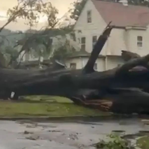 new jersey thunderstorm damage july 3 2025