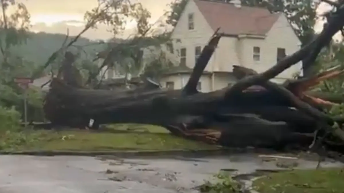 new jersey thunderstorm damage july 3 2025