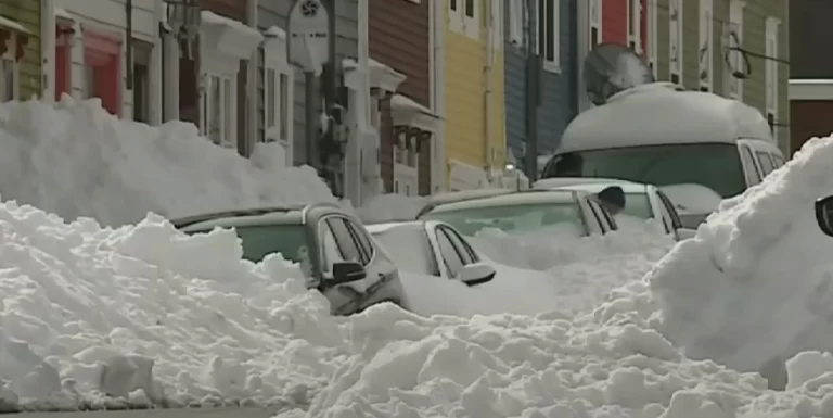 Newfoundland breaks daily March snowfall record, Canada