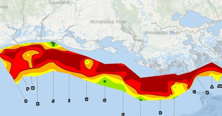 NOAA reports 'dead zone' in Gulf of Mexico larger than average
