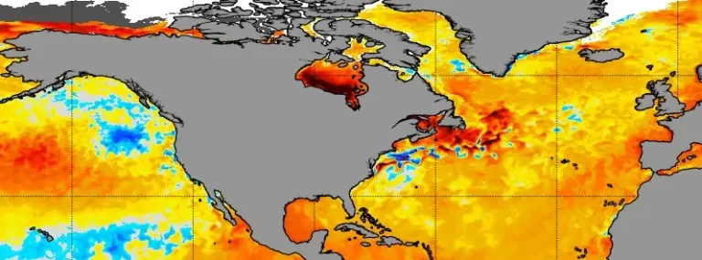 noaa sea surface temperature anomaly october 4 2023
