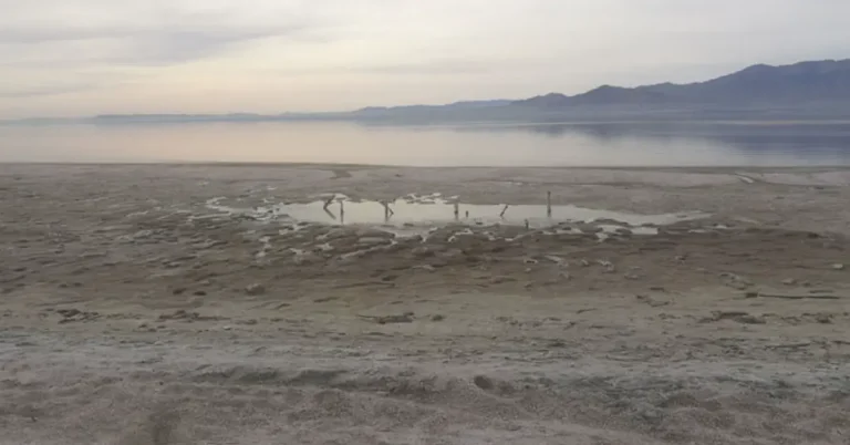 Rapidly shrinking Salton Sea raises toxic dust concerns for nearby communities, U.S, November 3, 2024