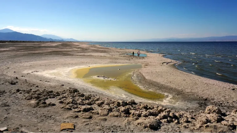 Salton Sea