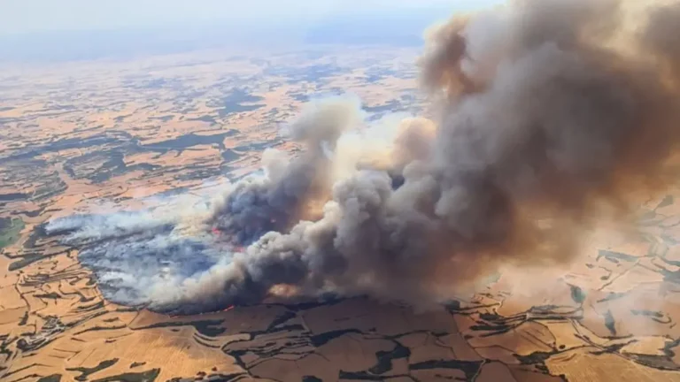 Spain wildfire july 1 2025