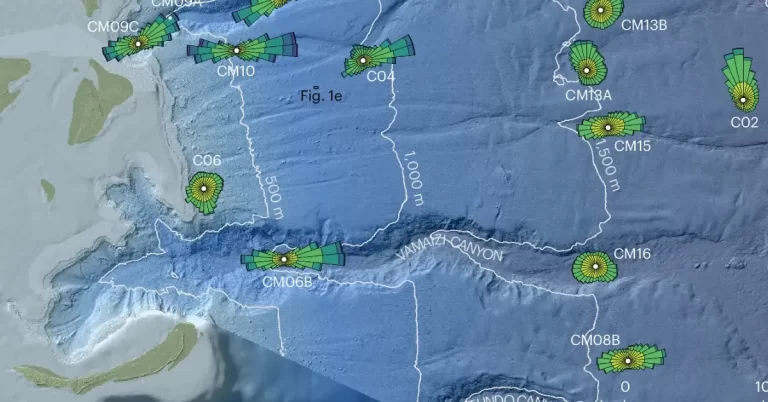 Study reveals complex behaviors and environmental impact of unpredictable deep-sea currents