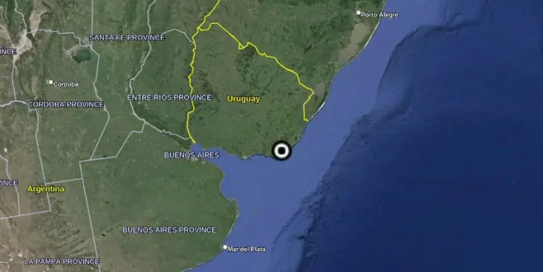 Subtropical cyclone implicated in unusually high penguin deaths in Uruguay