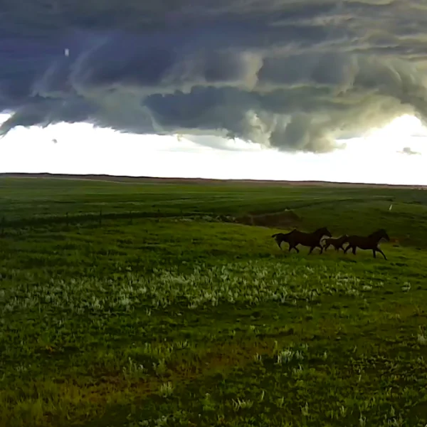 Tornado forming in North Dakota on June 27, 2025. Credit: Daryl Ritchinson/NDAWN