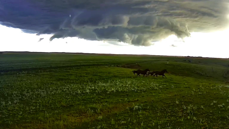 Tornado forming in North Dakota on June 27, 2025. Credit: Daryl Ritchinson/NDAWN