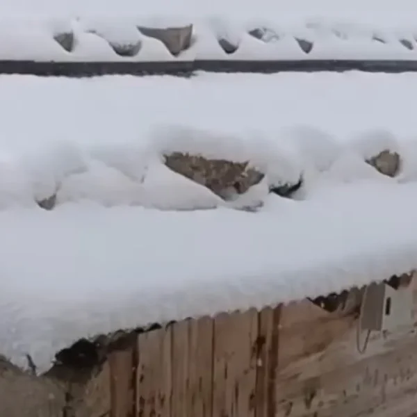 turkey july 2025 snow