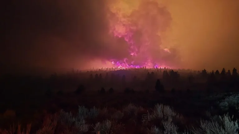 Utah Forsyth Fire June 20, 2025