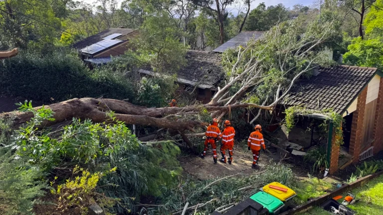 Wind damage in New South Wales on Wednesday, July 2, 2025. Credit NSW SES