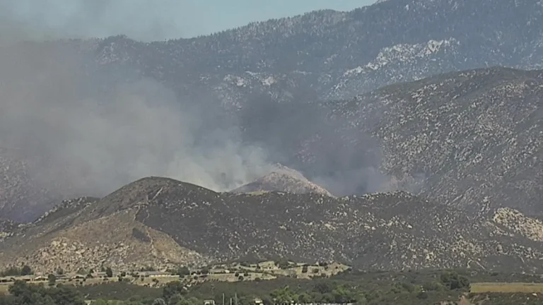 wolf fire cali june 29 2025